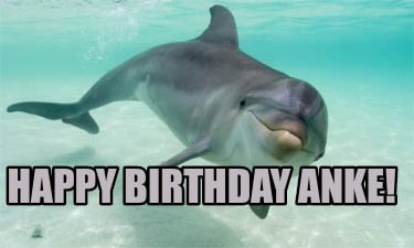 Detail Dolphin Happy Birthday Meme Nomer 20