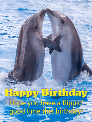 Detail Dolphin Happy Birthday Meme Nomer 3