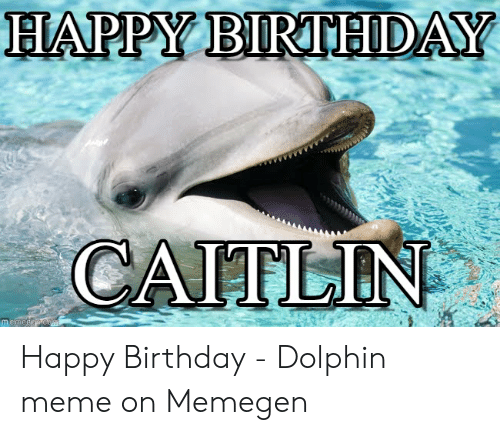 Detail Dolphin Happy Birthday Meme Nomer 30