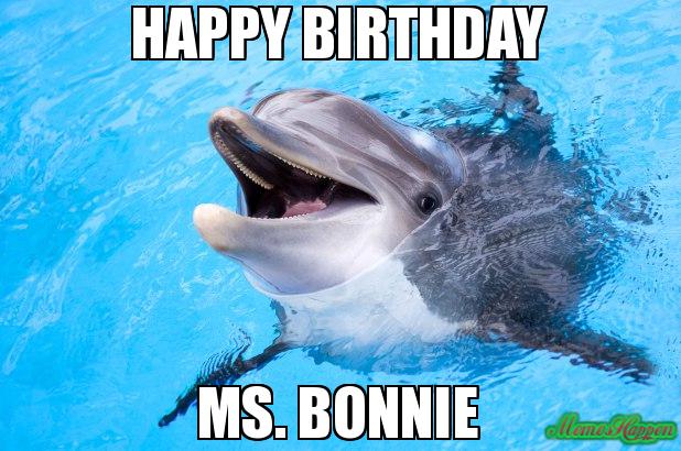 Detail Dolphin Happy Birthday Meme Nomer 31