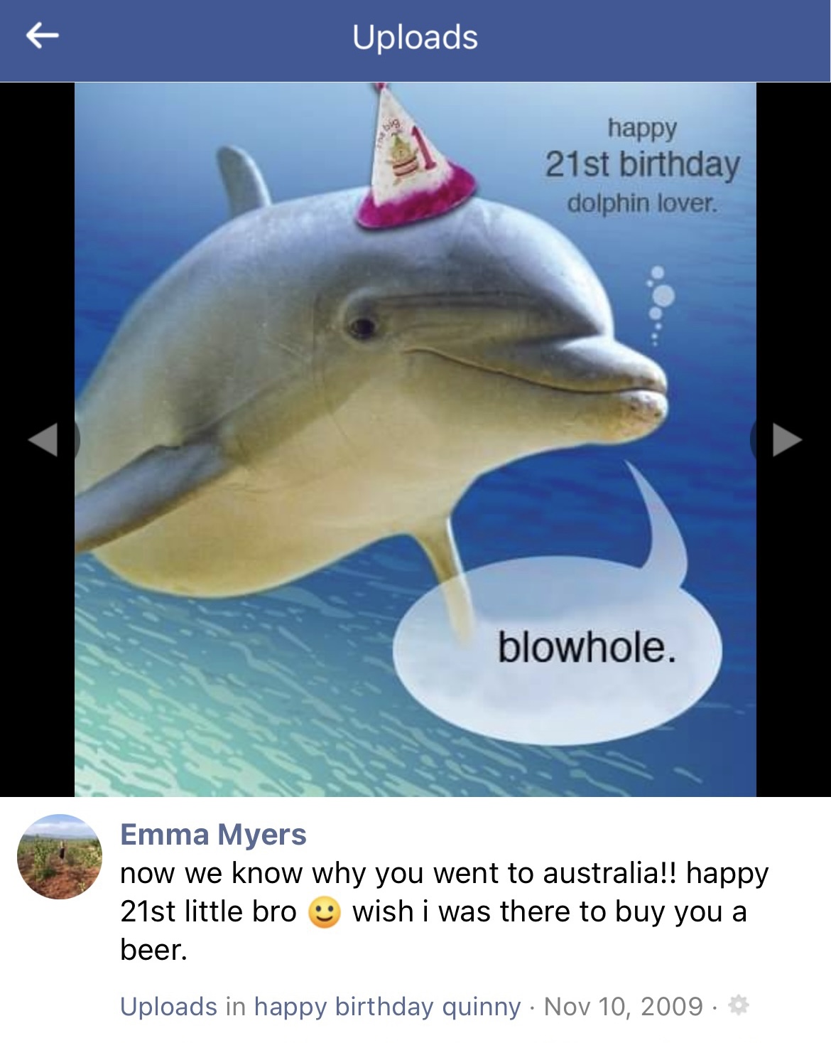 Detail Dolphin Happy Birthday Meme Nomer 38