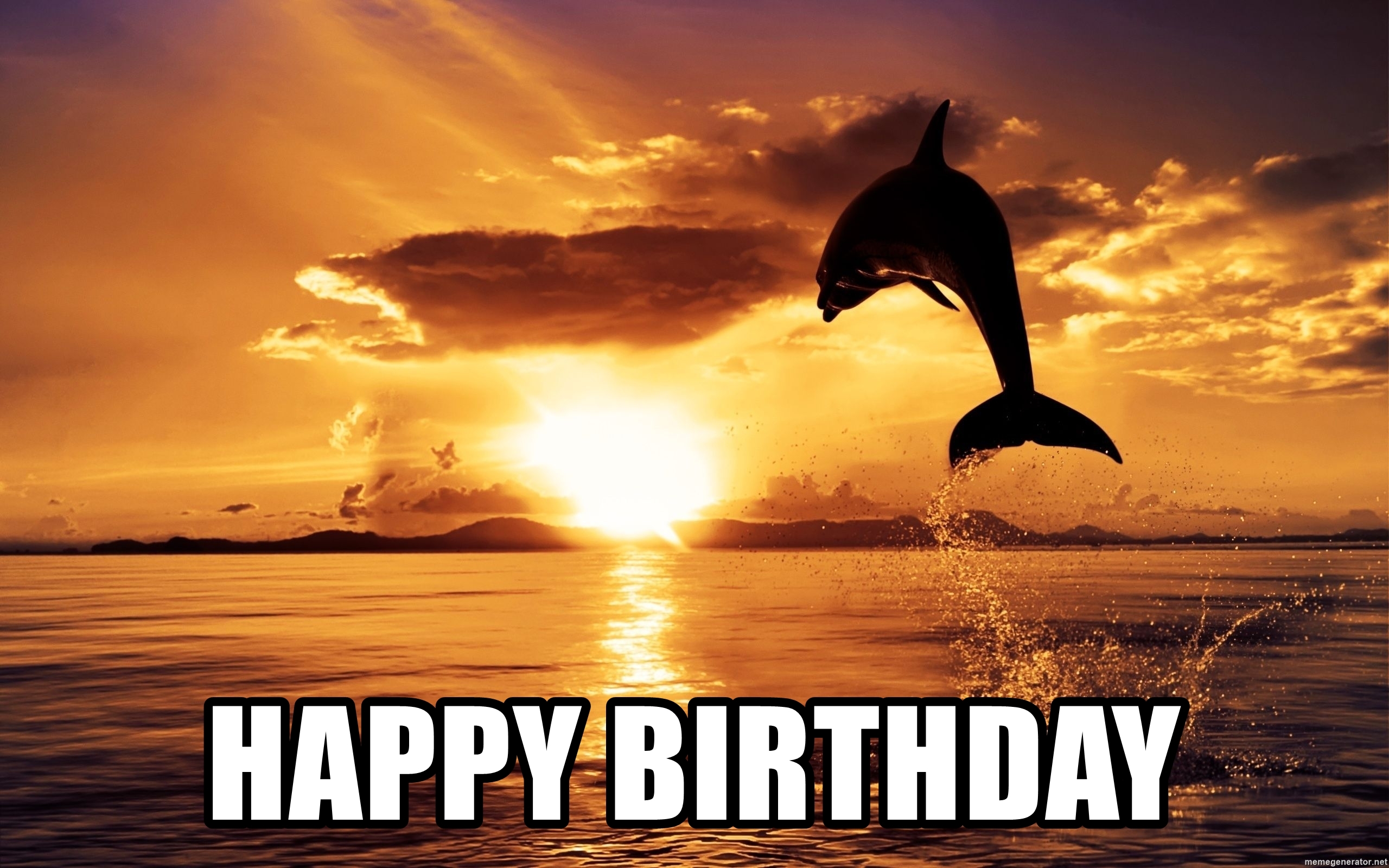 Detail Dolphin Happy Birthday Meme Nomer 7