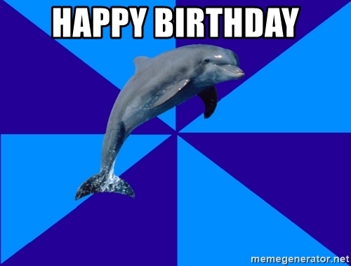 Detail Dolphin Happy Birthday Meme Nomer 8