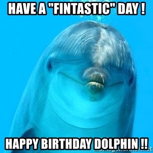 Detail Dolphin Happy Birthday Meme Nomer 9