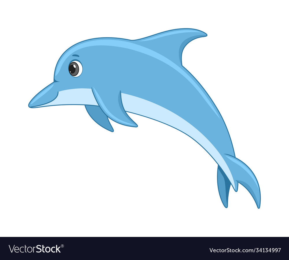 Detail Dolphin Image Nomer 45