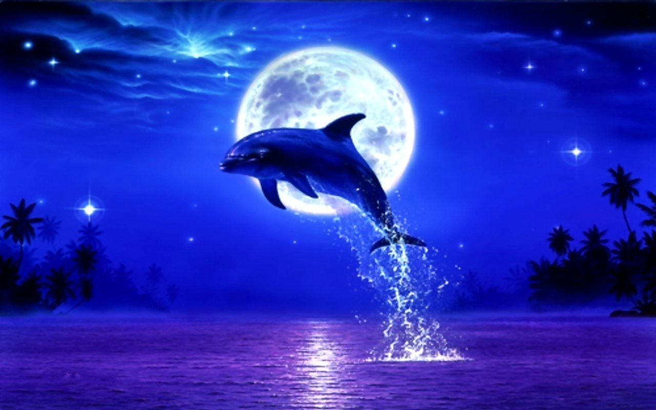 Detail Dolphin Images Free Downloads Nomer 10