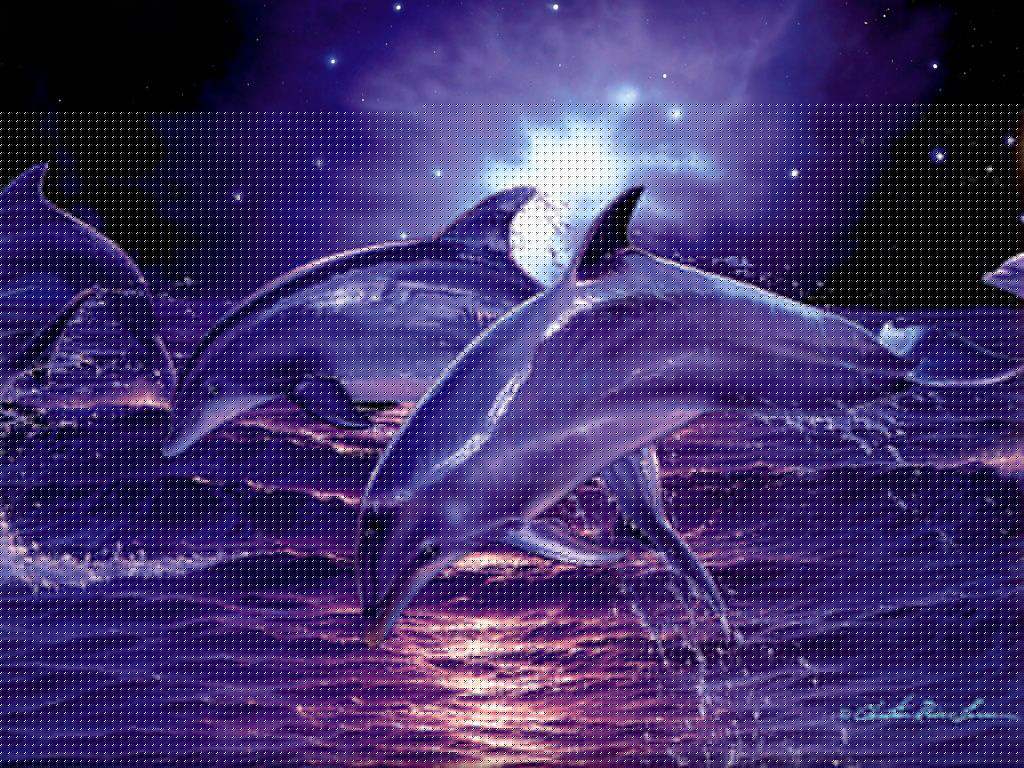 Detail Dolphin Images Free Downloads Nomer 20