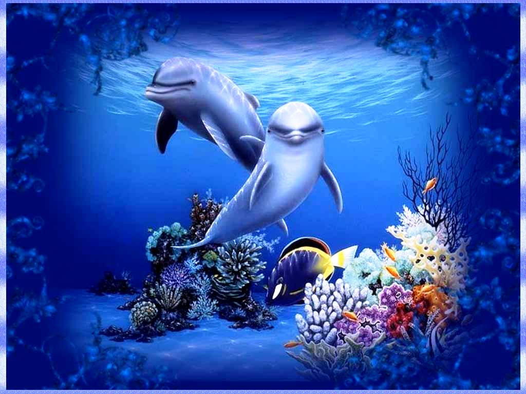 Detail Dolphin Images Free Downloads Nomer 6