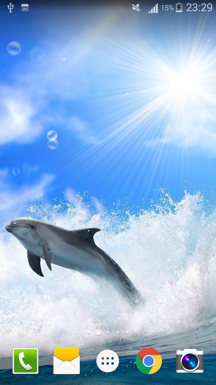 Detail Dolphin Live Wallpaper Nomer 30