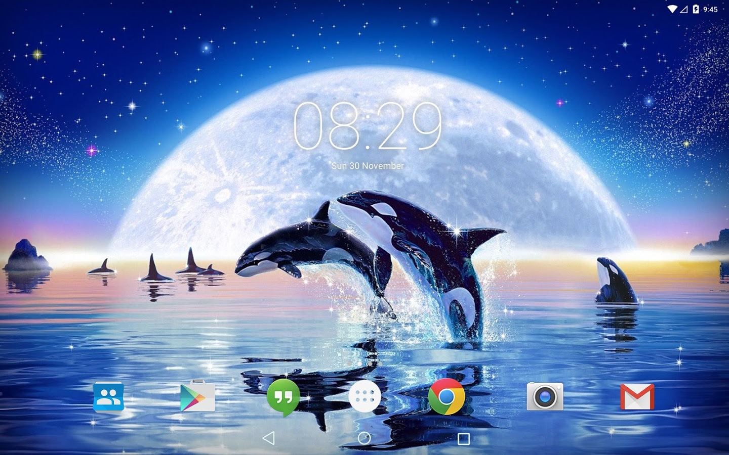 Detail Dolphin Live Wallpaper Nomer 41