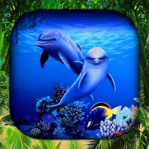 Detail Dolphin Live Wallpaper Nomer 47