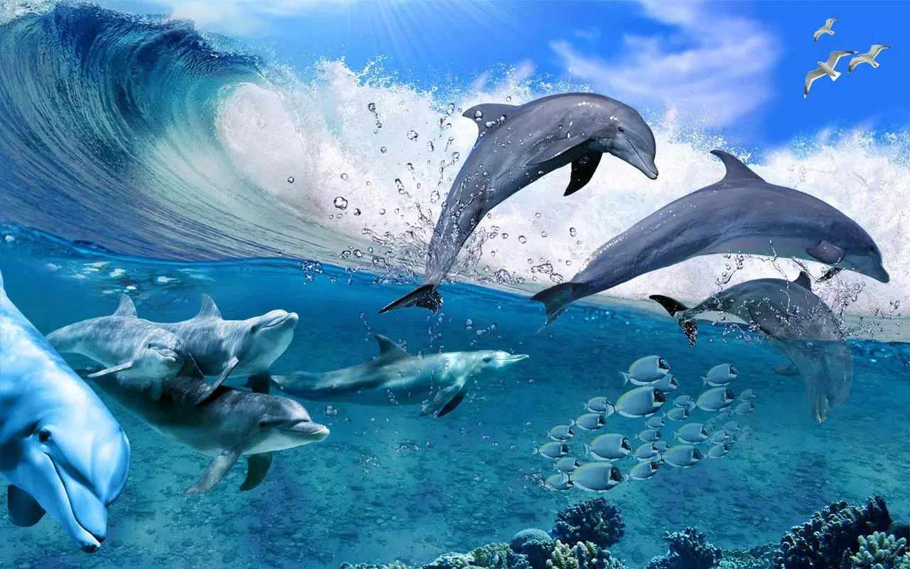 Detail Dolphin Live Wallpaper Nomer 6