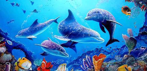 Detail Dolphin Live Wallpaper Nomer 55