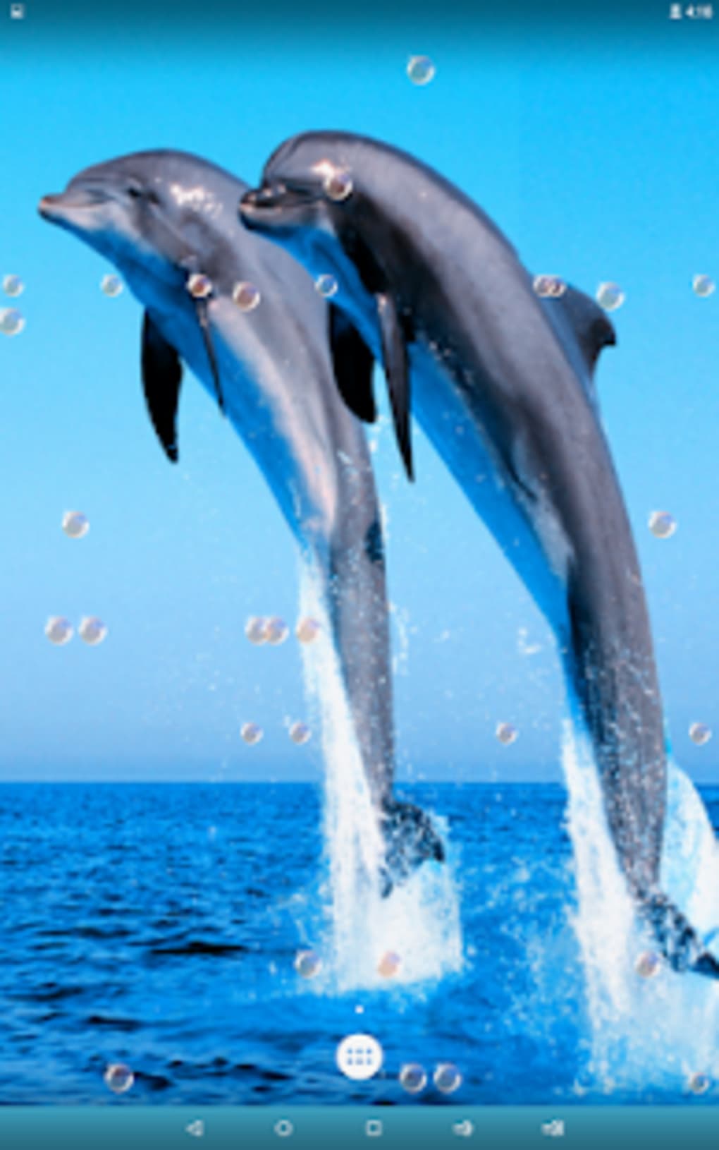 Detail Dolphin Live Wallpaper Nomer 57