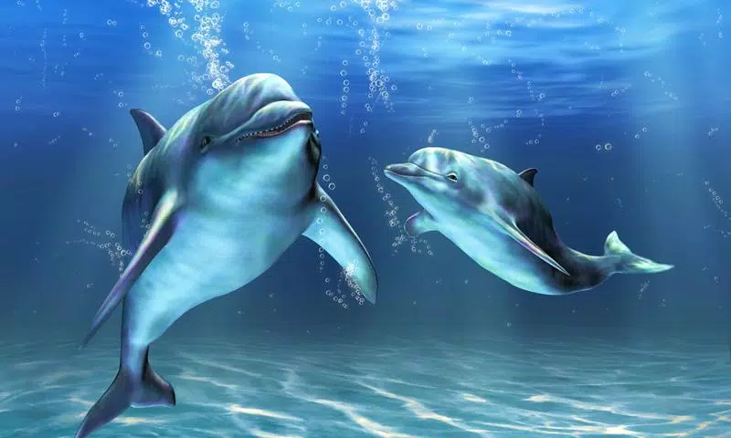 Detail Dolphin Live Wallpaper Nomer 9