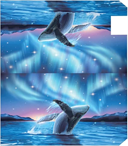 Detail Dolphin Mailbox Amazon Nomer 5