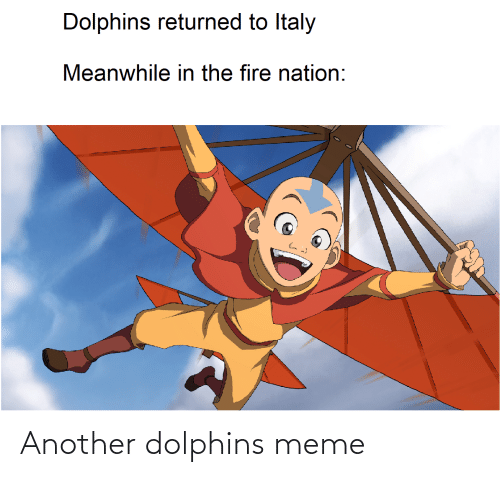 Detail Dolphin Meme Generator Nomer 41