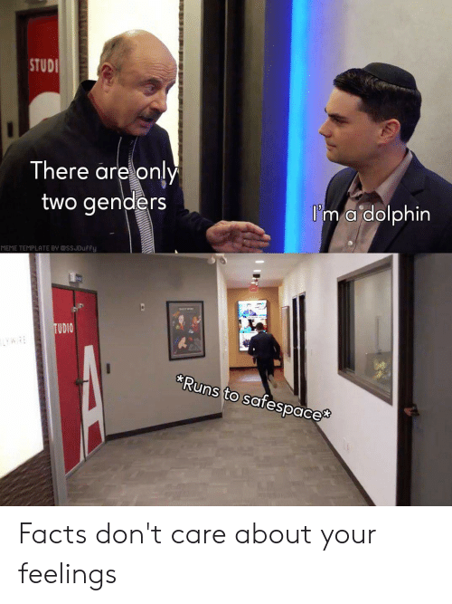 Detail Dolphin Meme Generator Nomer 47