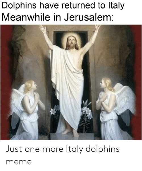 Detail Dolphin Meme Generator Nomer 54