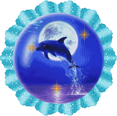 Detail Dolphin Meme Generator Nomer 59
