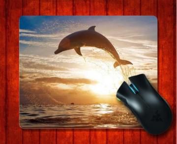 Download Dolphin Mouse Ir Nomer 23