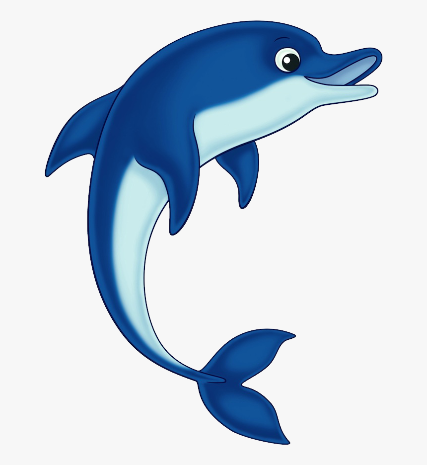 Detail Dolphin No Background Nomer 20