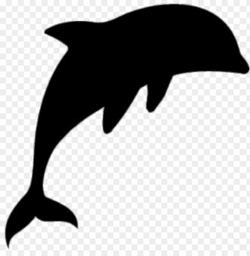 Detail Dolphin No Background Nomer 24