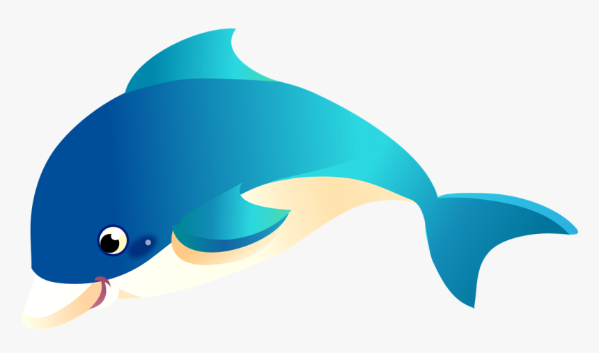 Detail Dolphin No Background Nomer 32