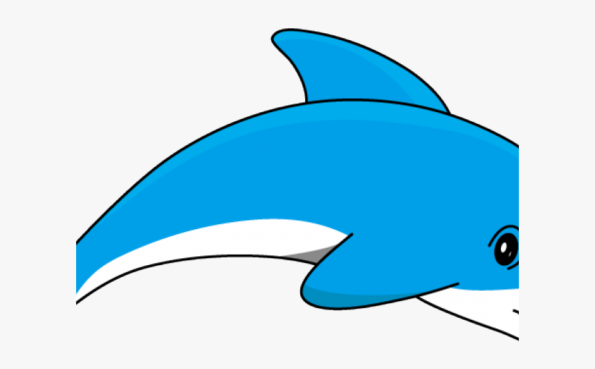 Detail Dolphin No Background Nomer 37