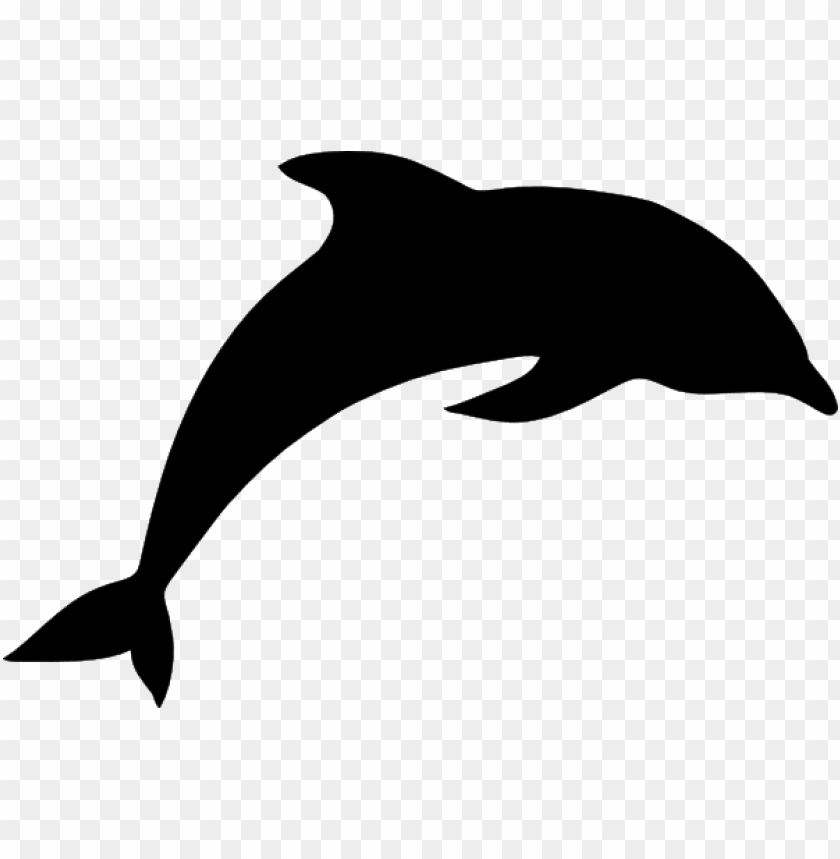 Detail Dolphin No Background Nomer 49