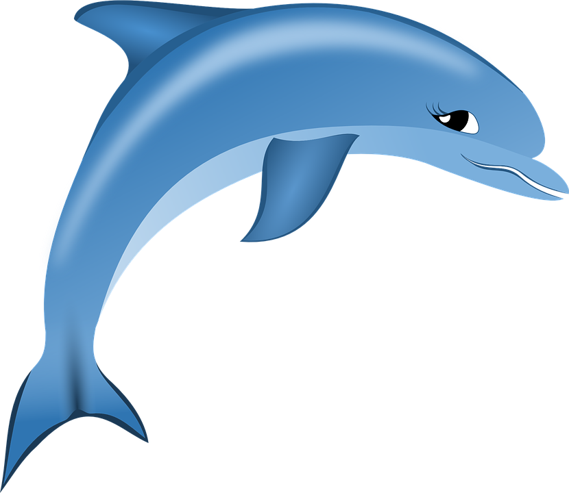Detail Dolphin Pics Free Nomer 25
