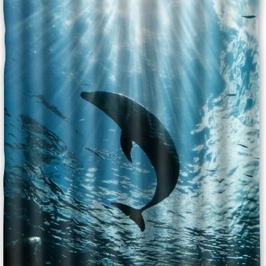 Detail Dolphin Shower Curtain Hooks Nomer 42