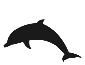 Detail Dolphin Silhouette Clip Art Nomer 39