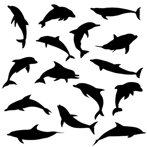 Detail Dolphin Silhouette Clip Art Nomer 48