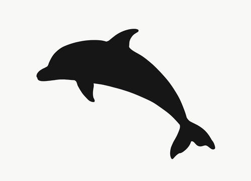 Dolphin Silhouette Images - KibrisPDR