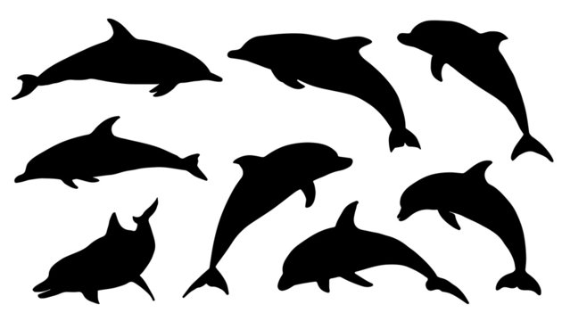 Detail Dolphin Silhouette Images Nomer 18