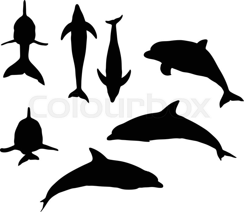 Detail Dolphin Silhouette Images Nomer 37