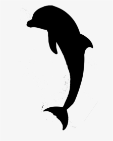 Detail Dolphin Silhouettes Nomer 46