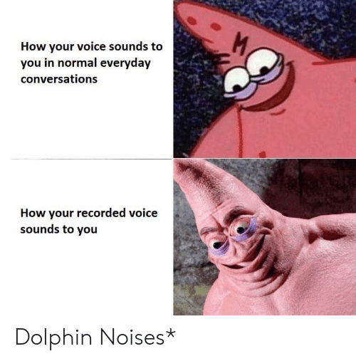 Detail Dolphin Sound Spongebob Nomer 53