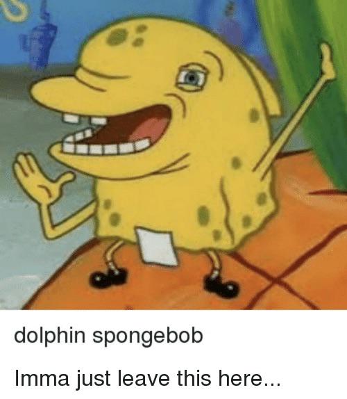Detail Dolphin Spongebob Meme Nomer 5