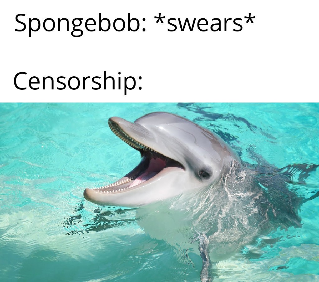 Detail Dolphin Spongebob Meme Nomer 42