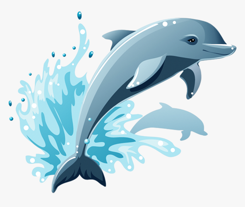Detail Dolphin Transparent Nomer 11