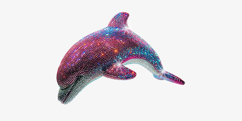Detail Dolphin Transparent Nomer 39