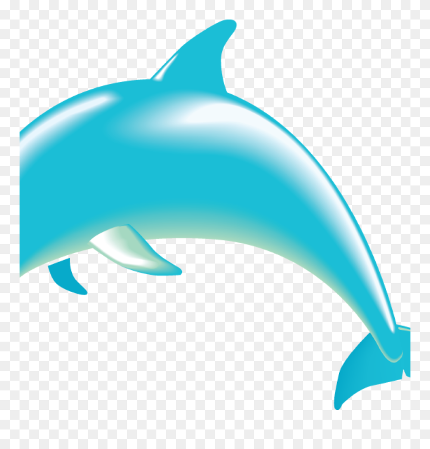 Detail Dolphin Transparent Nomer 46