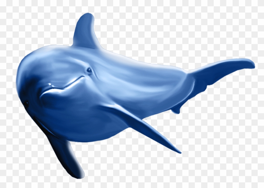 Detail Dolphin Transparent Nomer 51