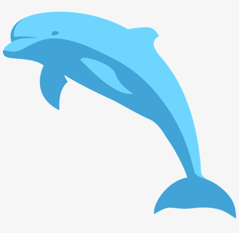 Detail Dolphin Transparent Nomer 54
