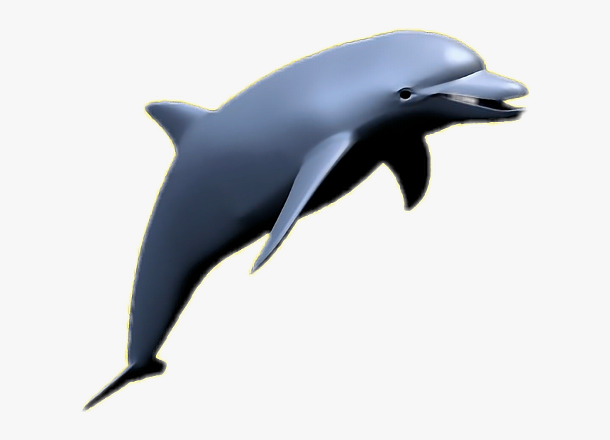 Detail Dolphin Transparent Png Nomer 14