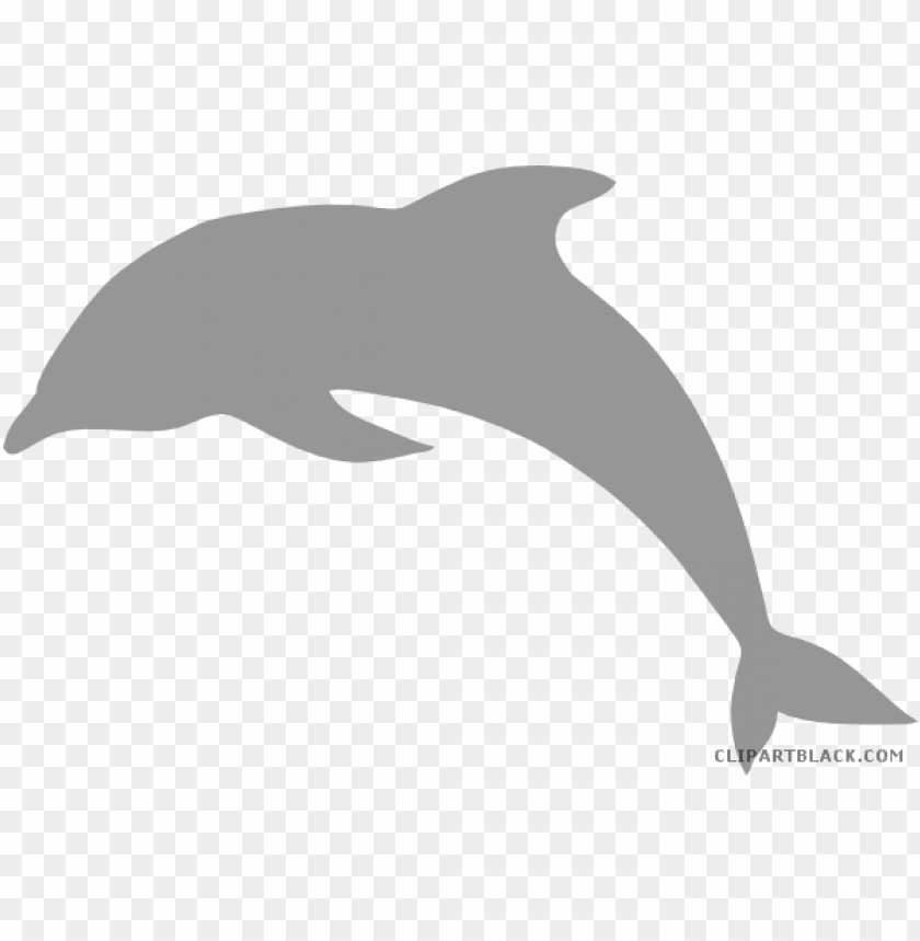 Detail Dolphin Transparent Png Nomer 30