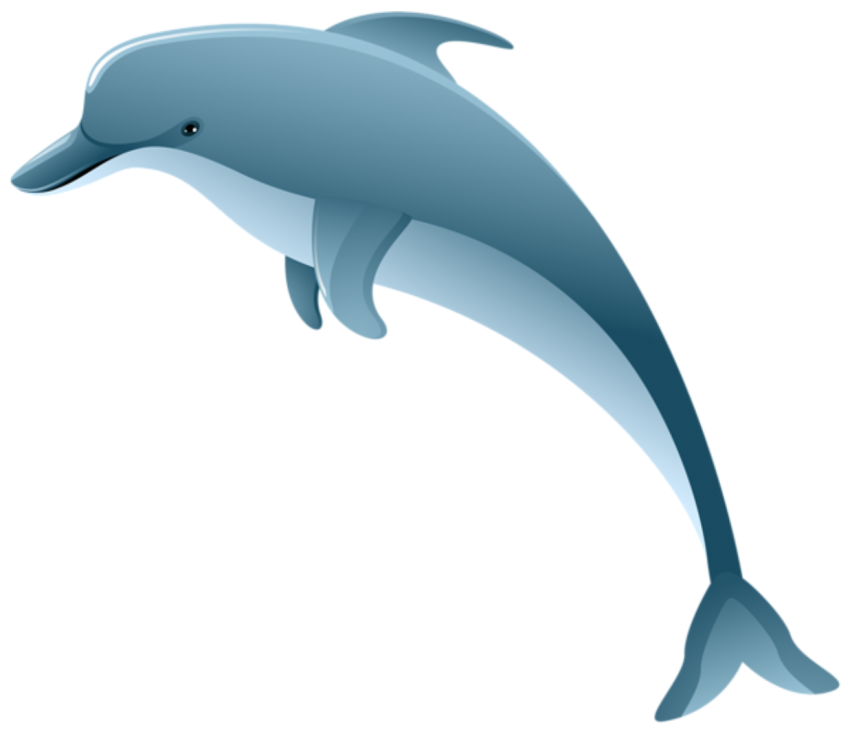 Dolphin Vector Png - KibrisPDR