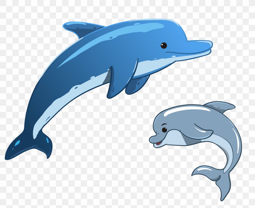 Detail Dolphin Vector Png Nomer 13